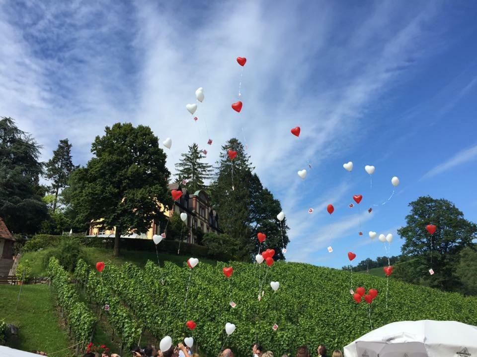 Wein Lodge Durbach - Josephsberg 2 Exterior foto